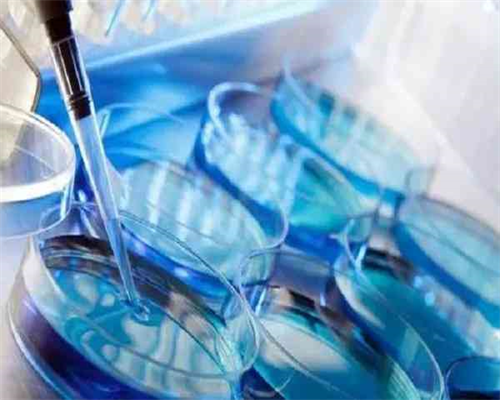 <strong>捐卵女生与产检指南：试管助孕医院选择与费用解析</strong>