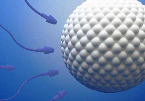 疫情风险等级调整与代生服务相关解读