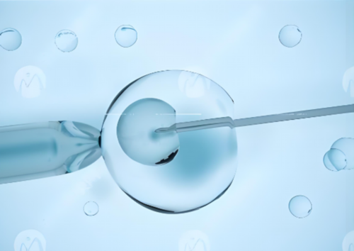 北京试管助孕费用详解及代生服务指南