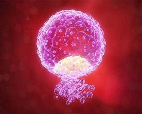 2026北京供精试管费用公布！北京供精试管流程详解