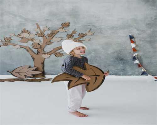 2026年试管助孕医院选择与双胞胎可能性指南