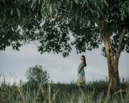 <strong>试管代孕公司服务与试管婴儿资讯解析</strong>