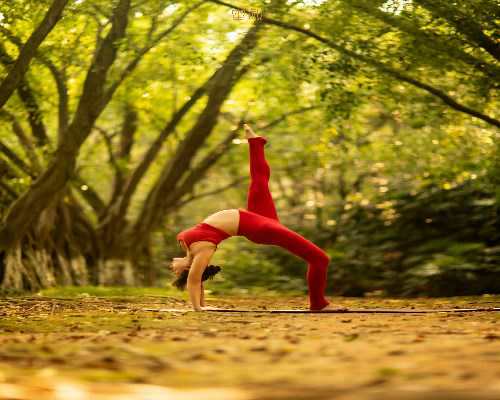 北京哪里做代孕最便宜,2026年北京做二代试管婴儿要多少钱？5万元够吗？